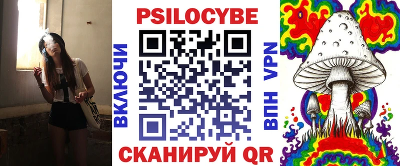 Галлюциногенные грибы Psilocybine cubensis  Купить где  Камешково 